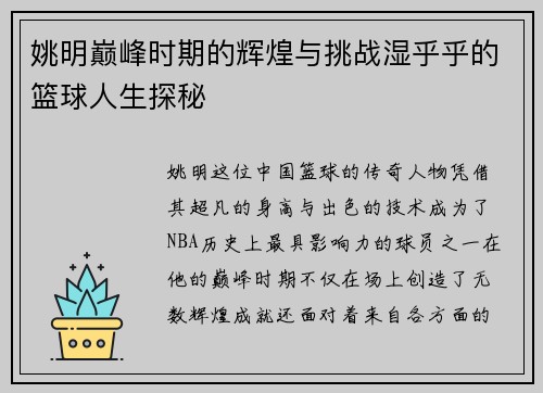 姚明巅峰时期的辉煌与挑战湿乎乎的篮球人生探秘
